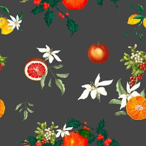Christmas art,festive,fruits,mistletoe art