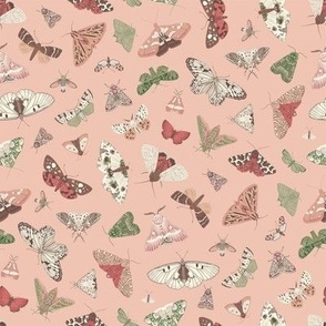 Butterflies and Moths. Pink_8