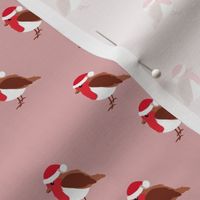 Winter wonderland red robin birds in Santa hats Christmas design pink girls  SMALL