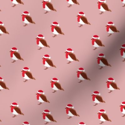 Winter wonderland red robin birds in Santa hats Christmas design pink girls  SMALL