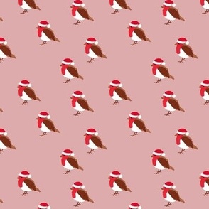 Winter wonderland red robin birds in Santa hats Christmas design pink girls  SMALL