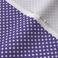 mini polka dots 2 purple