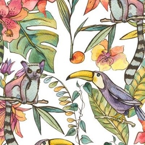 Watercolor tropical birds on white