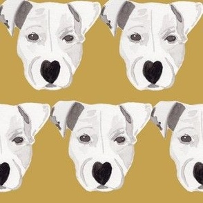 Heart Shaped Nose - American Staffordshire Dog Design - Golden Ochre and White Palette 