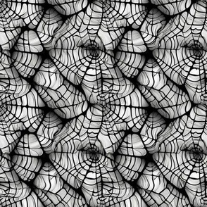 Shattered Spiderwebs