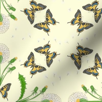 Dandelions and Butterflies