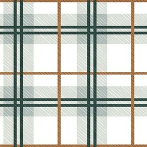 Ashton Tartan - mint 4in