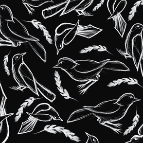 Sketchy_Birds on black