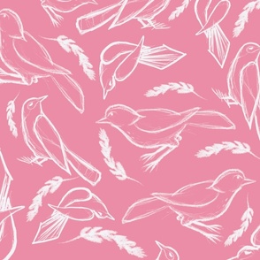 Sketchy_Birds on pink