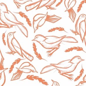 Sketchy_Birds orange