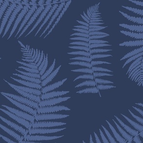 Calming floating ferns on blue