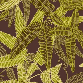 ULUHE FERN ON BROWN