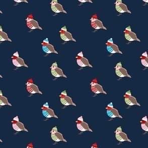 Winter wonderland Christmas sweaters Robin birds with bobble hats red blue pink on navy