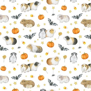Guinea Pig Halloween with bats and pumpkins on white - medium scale