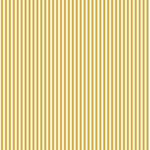 Christmas Stripes - Gold