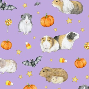 Guinea Pig Halloween with bats and pumpkins on lilac - large scale
