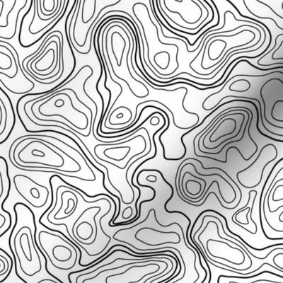 (L) Black and white Topographic Map 