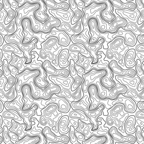 (L) Black and white Topographic Map 