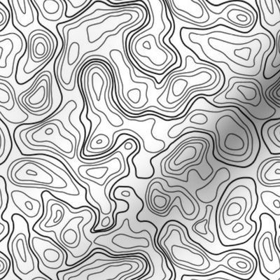 (M) Black and white Topographic Map