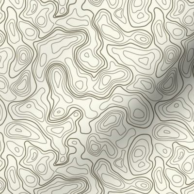 (S) Earthy Green Topographic Map