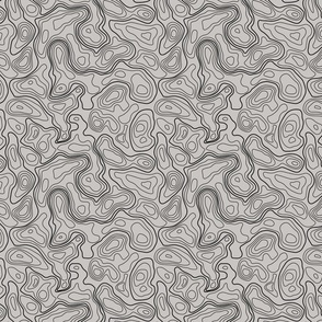 (L) Grey Topographic Map