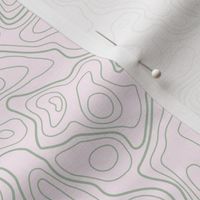 (L) Sage on Blush Abstract Topographic Map