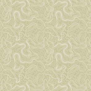  (L) Olive Topographic Map 