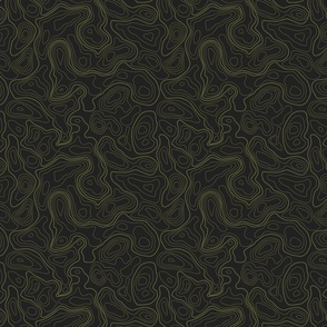 (L)  Earthy Green Topographic Map 