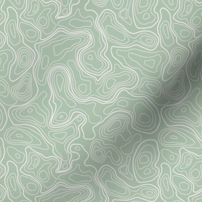 (S) Sage Topographic Map V1 