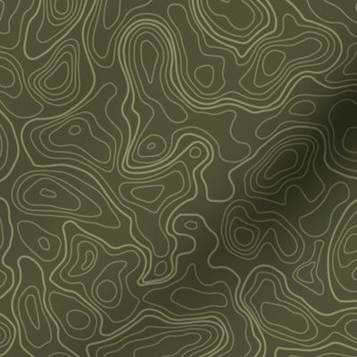  (L) Moss Topographic Map 