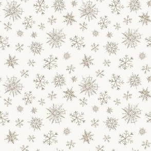 Winter Snowflakes 4x4 {on Pale Gray} Watercolor Sepia Snow Flakes Small Scale