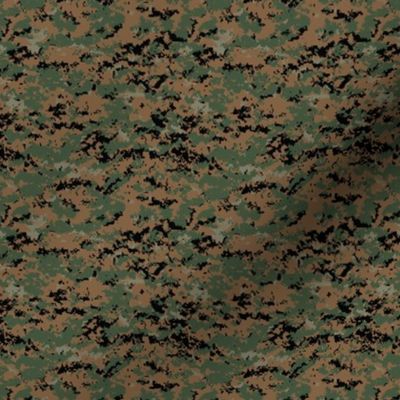 1/6th Scale MARPAT Woodland