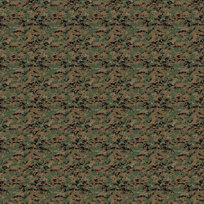 1/6th Scale MARPAT Woodland