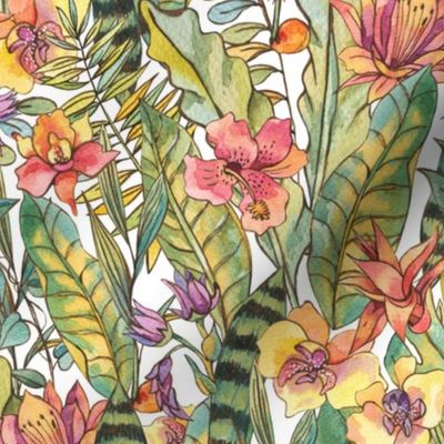 Watercolor tropical flowers and leaves on white