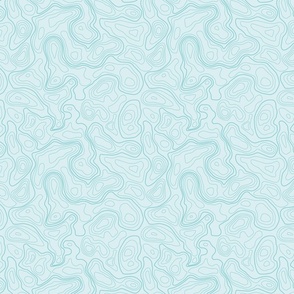 (L) Sky Blue Topographic Map 