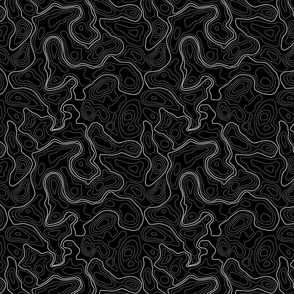  (L) Cream on Black Topographic Map - Large Scale 