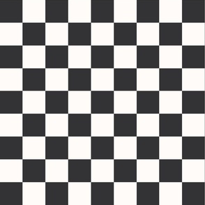 Auto racing checkered flag