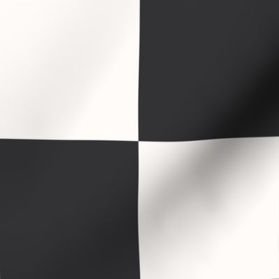 Auto racing checkered flag, large scale 