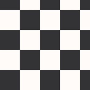 Auto racing checkered flag, large scale 