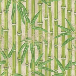 Vintage textured bamboo on old news print for spa library vibes