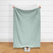 Solid Color - Misty Foggy Green - Neutral Boy Nursery