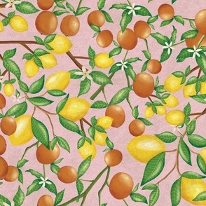 8 in (Size small) art nouveau citrus fruits and  branches on textured blush pink 