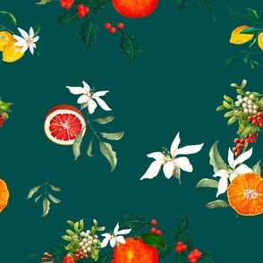 Lemon art,festive,fruits,mistletoe art