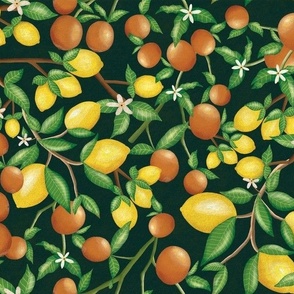 8x5 art nouveau citrus fruits and branches on textured smoky green background 

