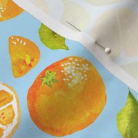 Cutie Clementine Tangerines on Sky Blue