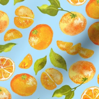 Cutie Clementine Tangerines on Sky Blue