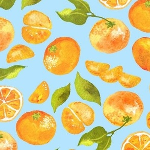 Cutie Clementine Tangerines on Sky Blue