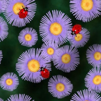 Purple Aster Flowers with Ladybugs on Emeral