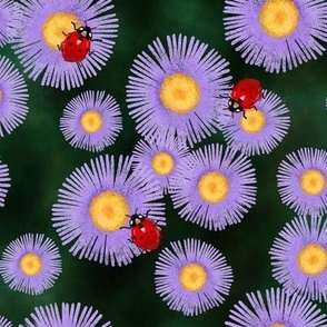 Purple Aster Flowers with Ladybugs on Emeral