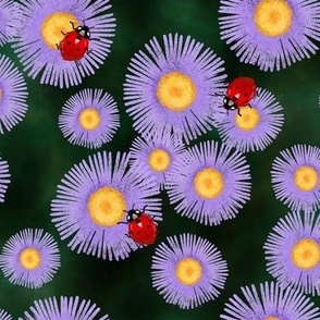  Purple Ladybug